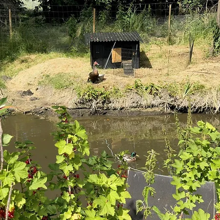 Campingplads Nøddehaven Eg