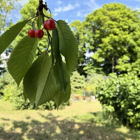 Nøddehaven Campingplads *
