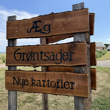 Campingplads Nøddehaven